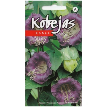 Sēklas kobejas Purple Seeds, 3 g