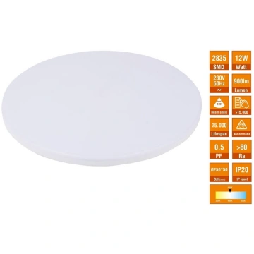 LED plafons 12W, 17430S Spector Light