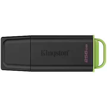 Kingston Technology DataTraveler 256GB Portable US