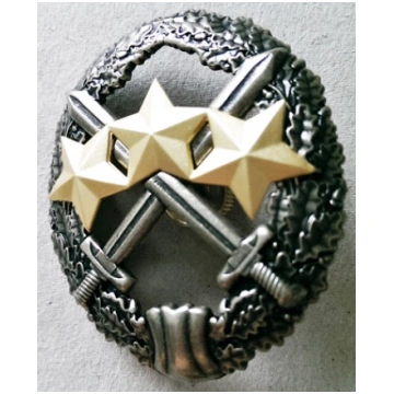 Zemessardzes beretes kokarde (ID349)