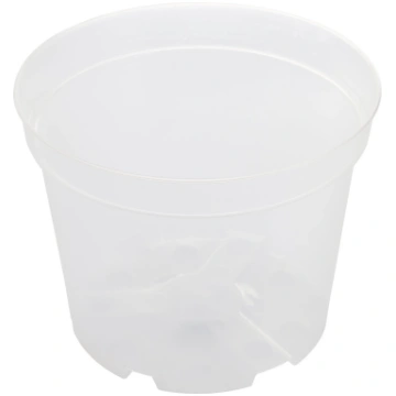 DOMOLETTI Puķu pods Orchidea SBX7, plastmasa, caur