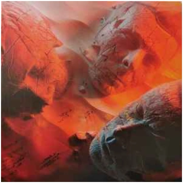 Lietots - Vinyl (LP) Muse - Will Of The People Hel