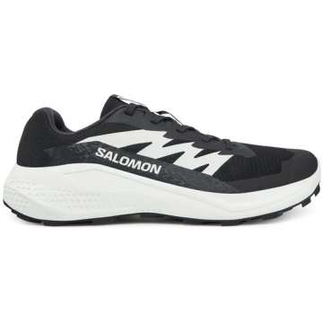Skriešanas apavi Salomon Alphaglide L47801000 Meln