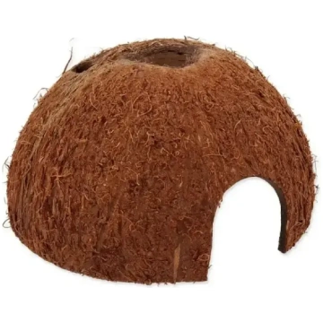 Repti Planet Coco Shell L terārija dekorācija L