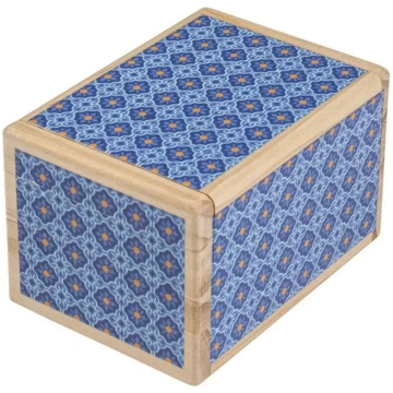 Secret Box Kyoto Brain Games LV