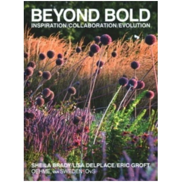 Beyond Bold: Inspiration, Collaboration, Evolution